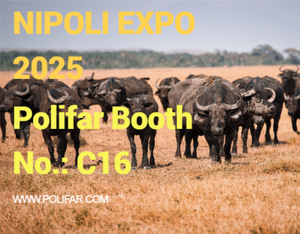 NIPOLI EXPO 2025.jpg