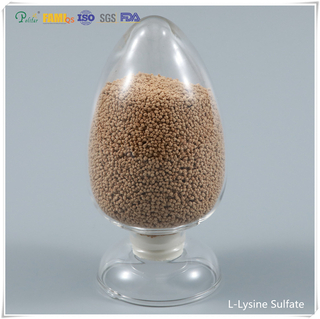 Nhóm dinh dưỡng lysine sulfat 70% cấp thức ăn chăn nuôi