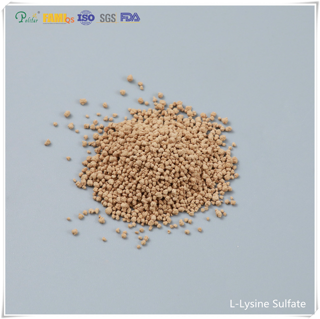 70% bột Lysine Sulphate phụ gia thức ăn cho gia cầm