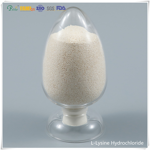 L-Lysine hydrochloride 98,5% cấp thức ăn chăn nuôi cas no.657-27-2
