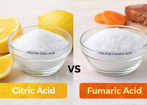 Fumaric Acid VS Citric Acid.jpg