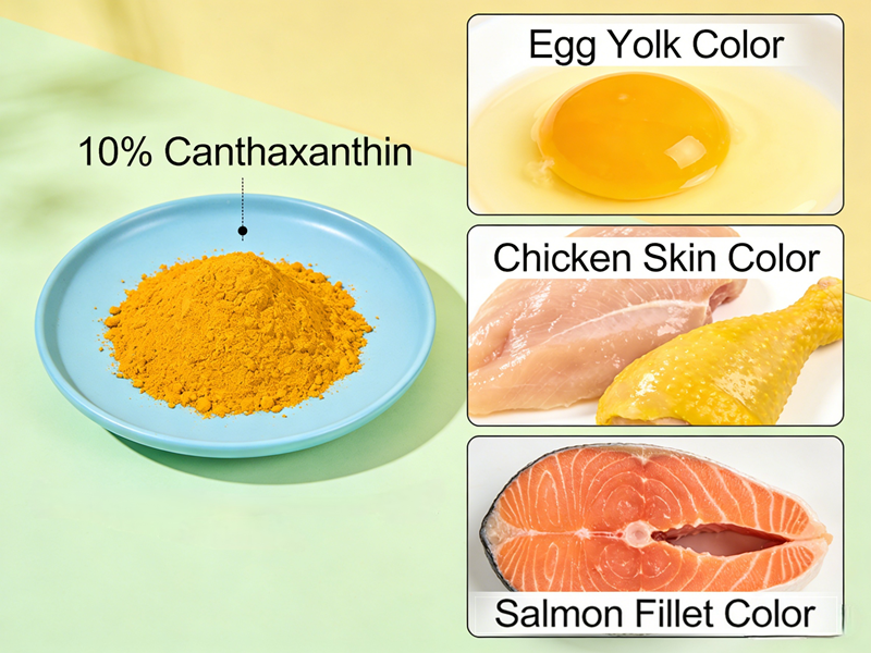 Vai tr&ograve; của canthaxanthin trong thức ăn