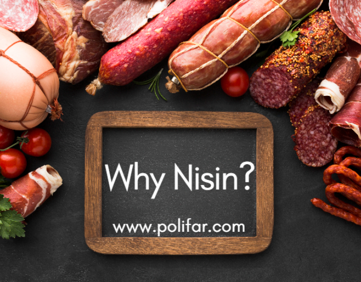 applications of nisin.jpg