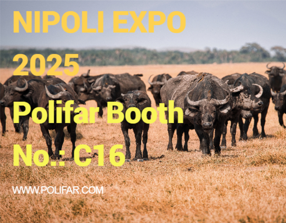 NIPOLI EXPO 2025.jpg