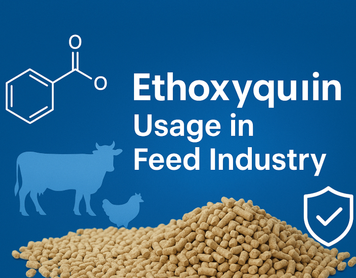 Sử dụng ethoxyquin trong ngành công nghiệp thức ăn