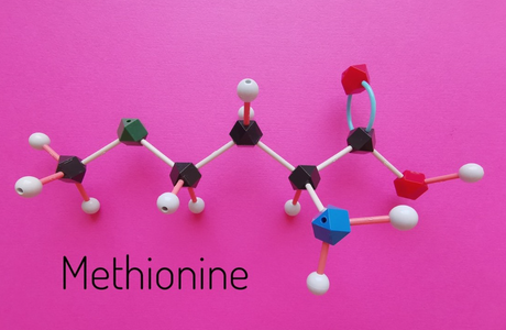 Methionine.png