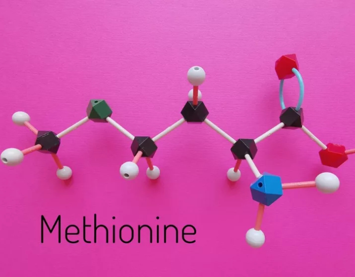 Mối quan hệ giữa methionine, choline và betaine trong dinh dưỡng gia cầm