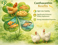 //5irorwxhomiorik.leadongcdn.com/cloud/lnBqnKmmSRnlpmqjkpkm/canthaxanthin-benefits.png