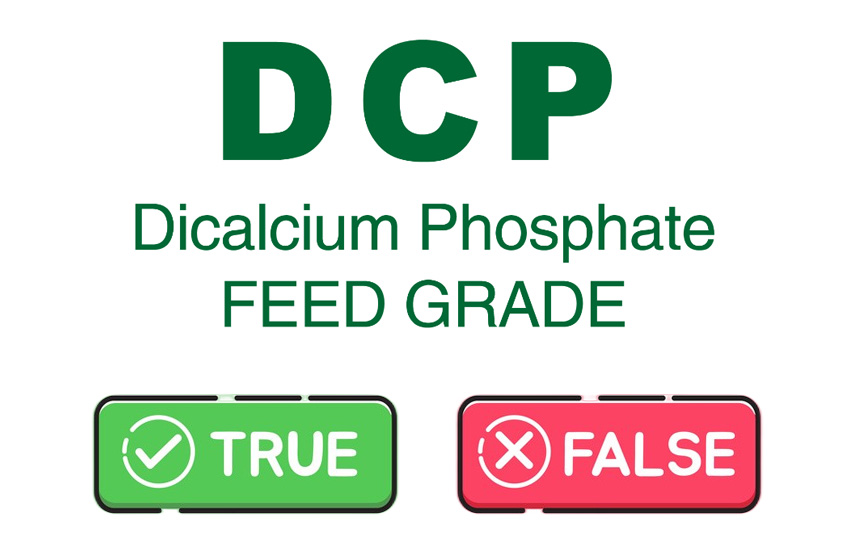 Dicalcium phosphate