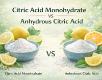 //5irorwxhomiorik.leadongcdn.com/cloud/lnBqnKmmSRoloiklnqkp/Citric-acid-monohydrate-VS-Anhydrous-citric-acid.png
