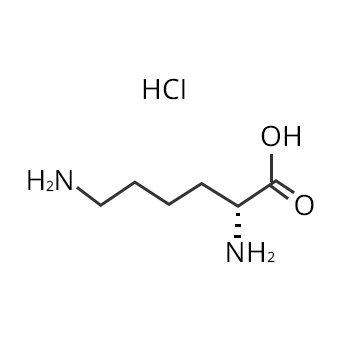 Cấu trúc của L Lysine Hydrochloride