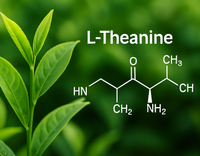 //5irorwxhomiorik.leadongcdn.com/cloud/lrBqnKmmSRjlnmroilkp/L-Theanine.jpg