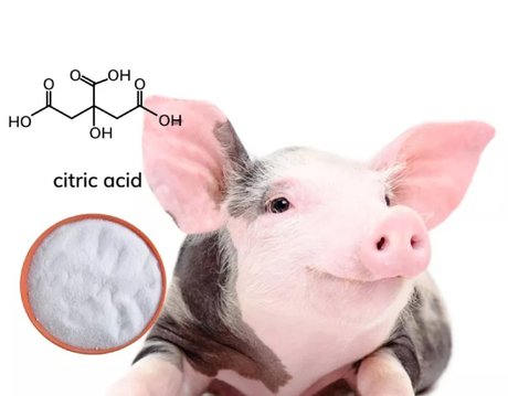 citric acid for pigs.jpg