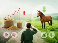 Biến động giá bột đậu nành