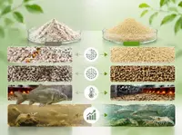 Lysine chất lượng kém