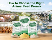 //5irorwxhomiorik.leadongcdn.com/cloud/pmBqnKmmSRqlinmlmqkm/How-to-Choose-the-Right-Animal-Feed-Premix.jpg