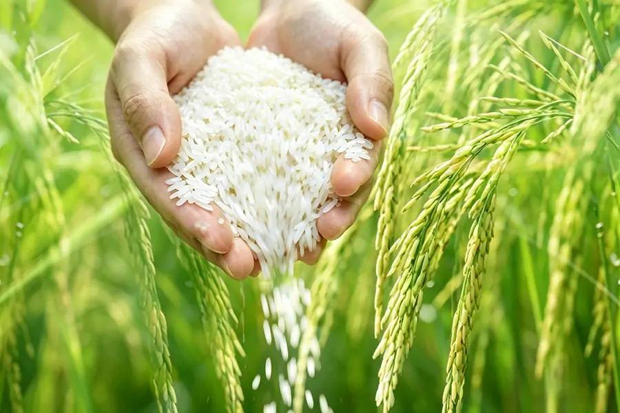 Tìm nguồn cung ứng có trách nhiệm