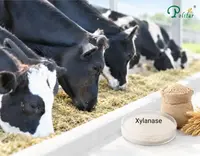 //5irorwxhomiorik.leadongcdn.com/cloud/pqBqnKmmSRmllpjnnqkm/Application-of-Xylanase-in-Ruminant-Feed_703_550.webp